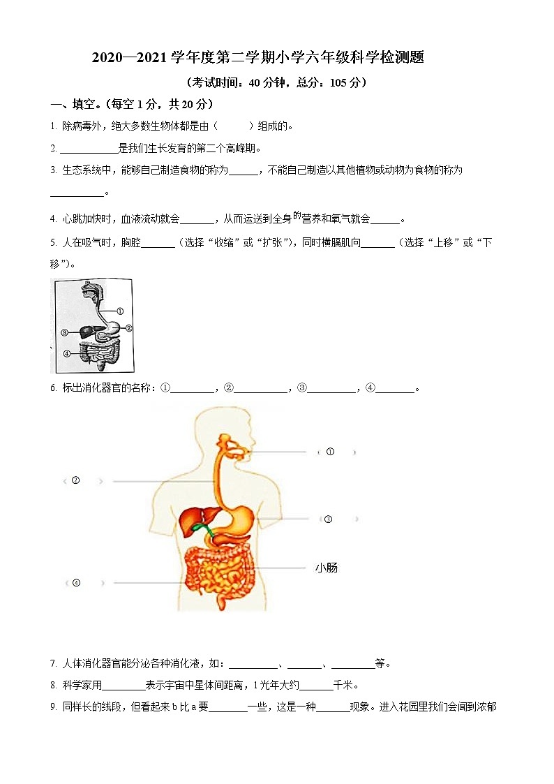 【小升初真题卷】2020-2021学年河北省承德市双桥区冀人版六年级下册期末考试科学试卷（原卷版+解析版）01