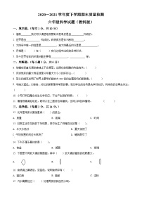 【小升初真题卷】2020-2021学年河北省石家庄市赞皇县教科版六年级下册期末考试科学试卷（原卷版+解析版）