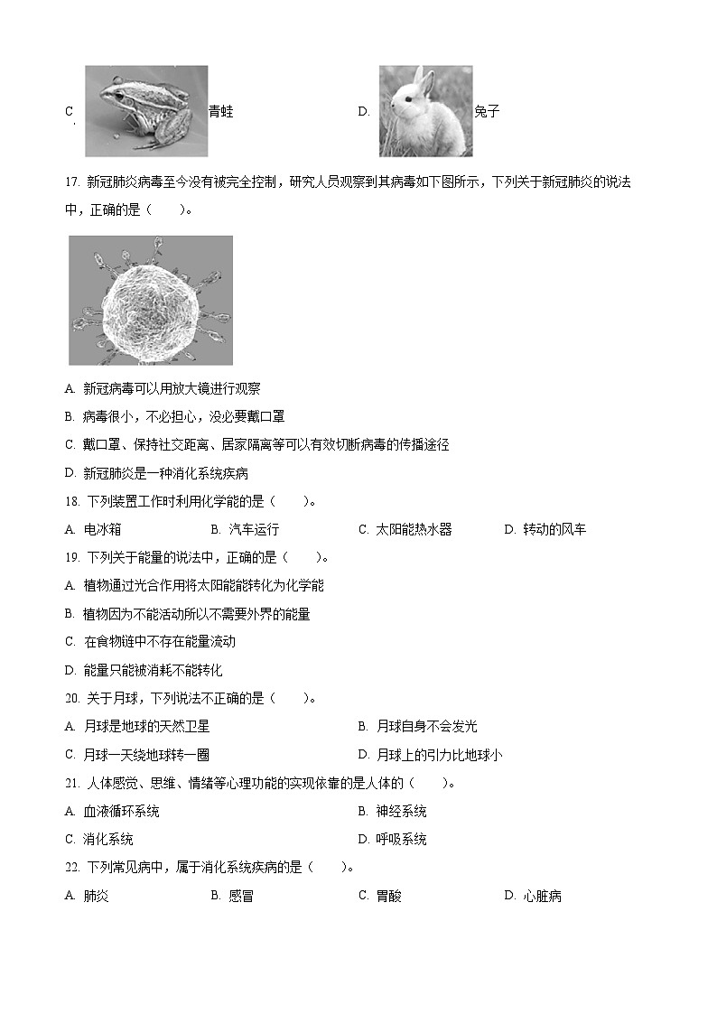 【小升初真题卷】2021-2022学年河北省定州市冀人版六年级下册期末考试科学试卷（原卷版+解析版）02