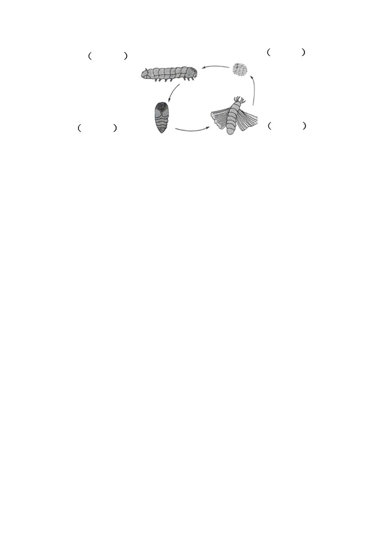 生命的延续——2023年小升初教科版科学专题复习过关练第3页