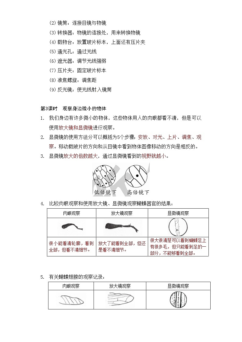 专题1 微小世界——2023年小升初科学教科版专题复习六年级上册第2页