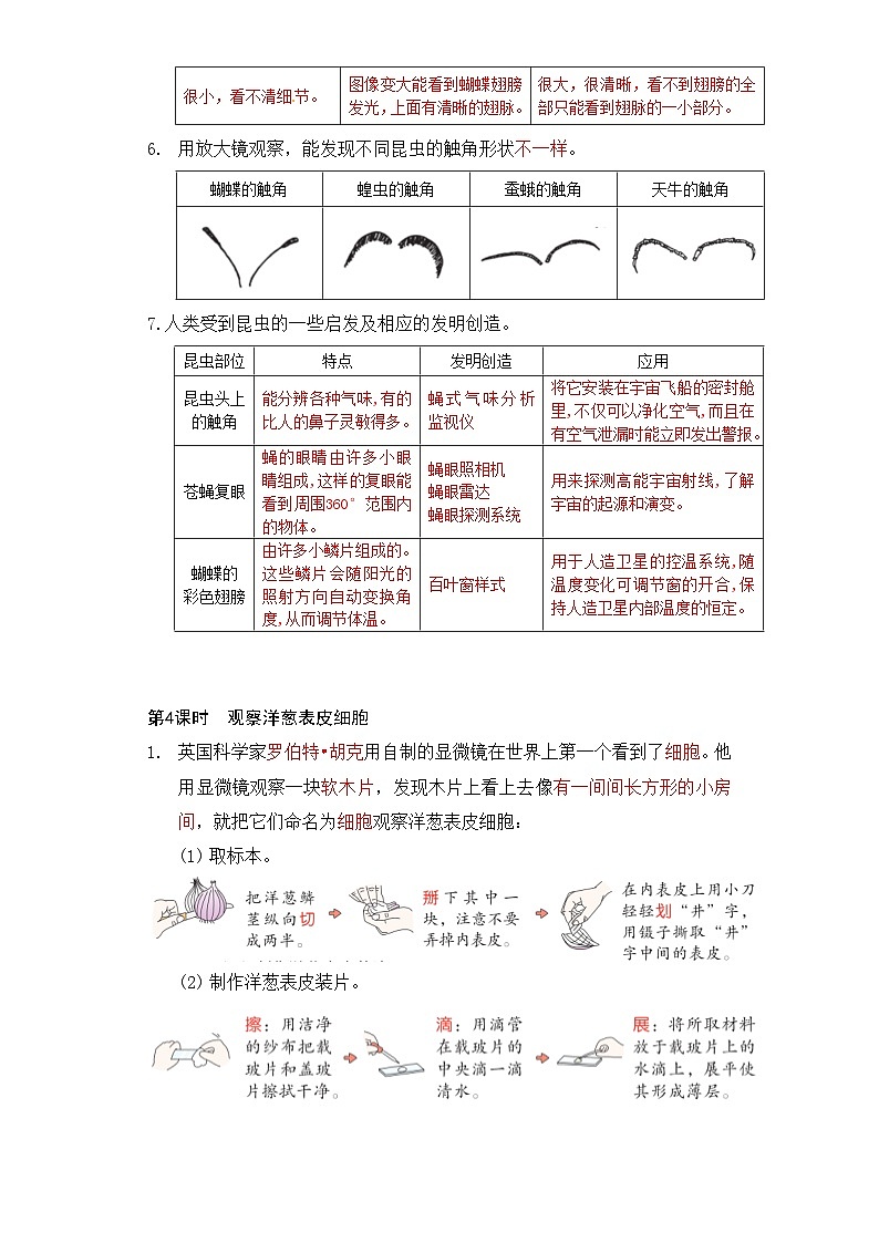 专题1 微小世界——2023年小升初科学教科版专题复习六年级上册第3页