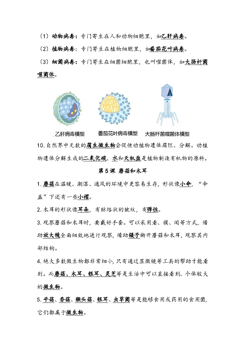 专题02 微生物——2023年小升初科学青岛版专题复习知识点讲解+巩固练习（含答案）02