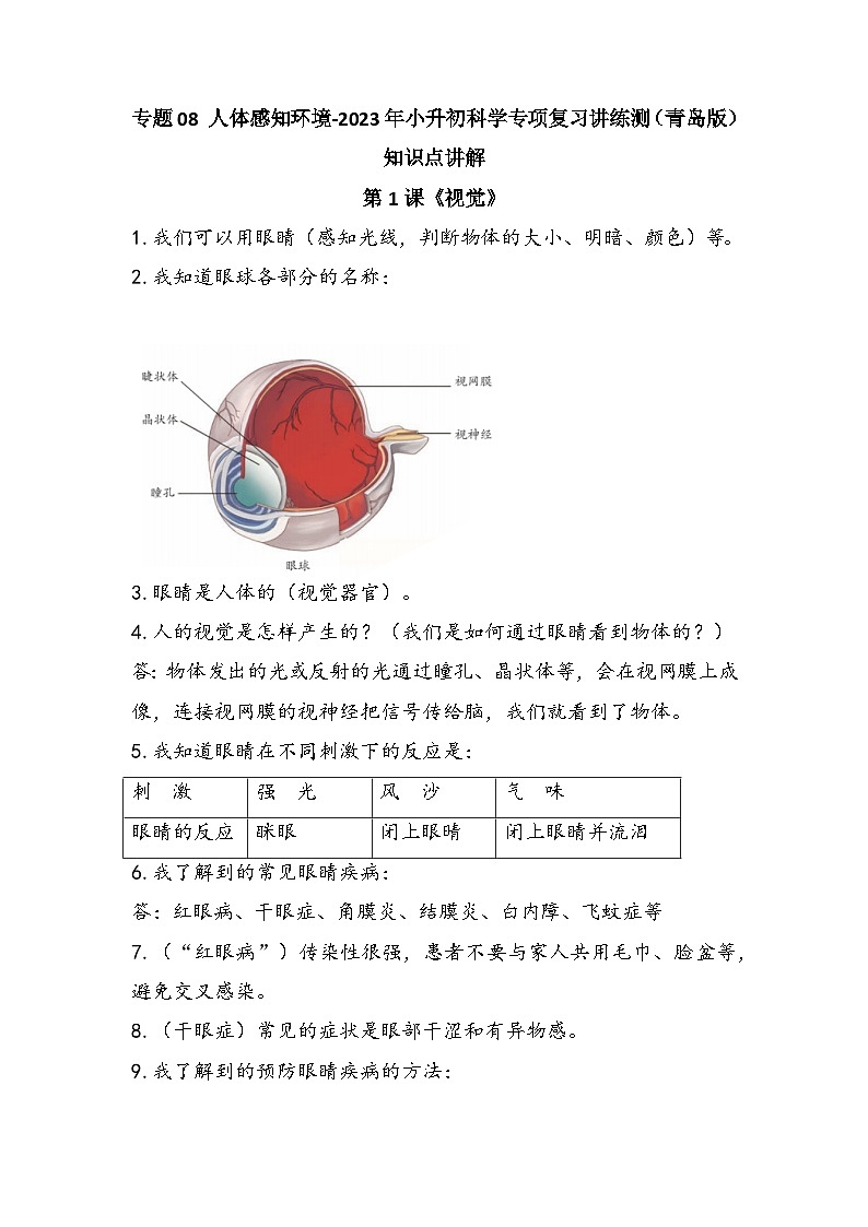 专题08 人体感知环境——2023年小升初科学青岛版专题复习知识点讲解+巩固练习（含答案）01