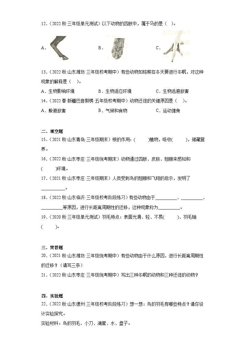 专题01 动物与环境 ——【备考2023】小升初科学青岛版（2017）真题汇编三年级上册02