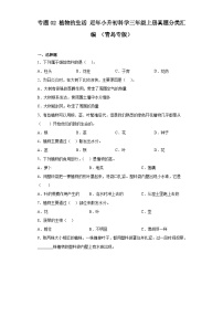 专题02 植物的生活 ——【备考2023】小升初科学青岛版（2017）真题汇编三年级上册