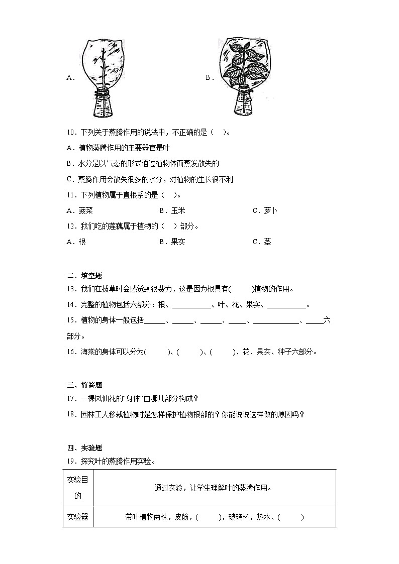 专题02 植物的生活 ——【备考2023】小升初科学青岛版（2017）真题汇编三年级上册02