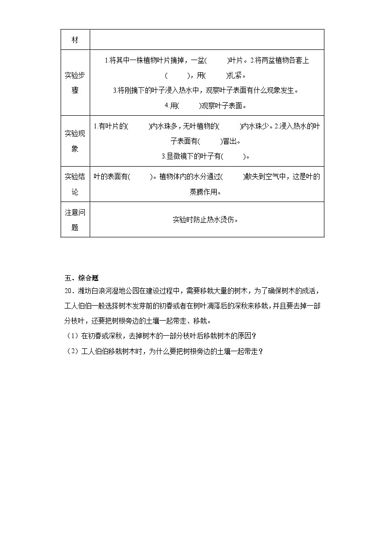 专题02 植物的生活 ——【备考2023】小升初科学青岛版（2017）真题汇编三年级上册03