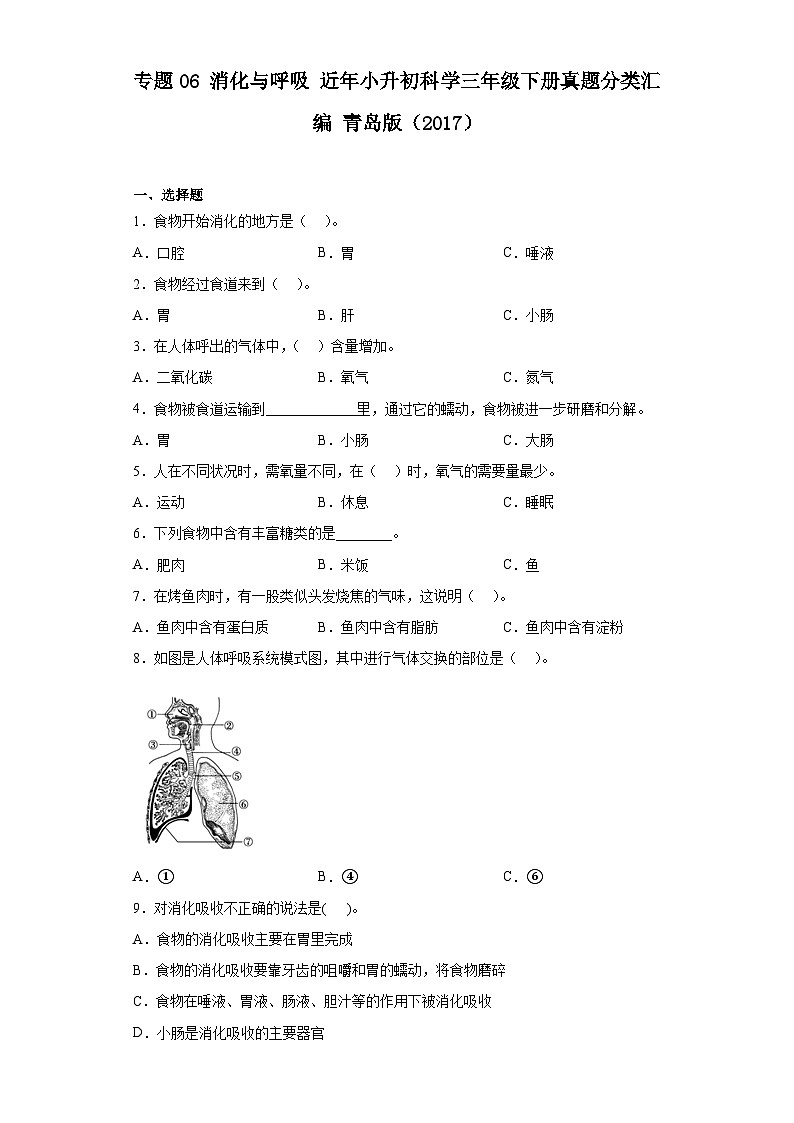 专题06 消化与呼吸 ——【备考2023】小升初科学青岛版（2017）真题汇编三年级下册01