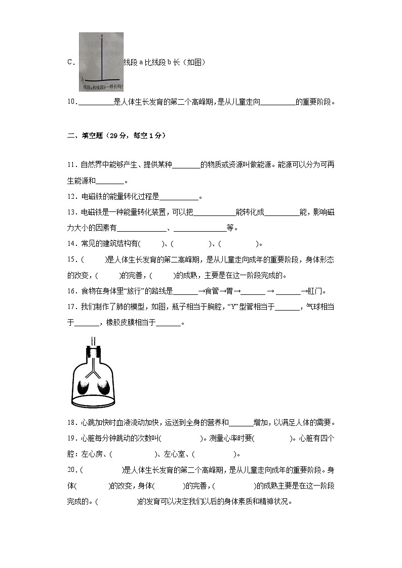 基础卷：2023年小升初科学模拟试卷二（冀人版）第2页