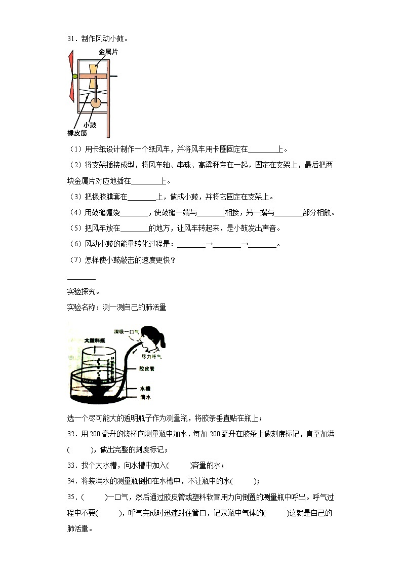 提高卷：2023年小升初科学模拟试卷三（冀人版）第3页