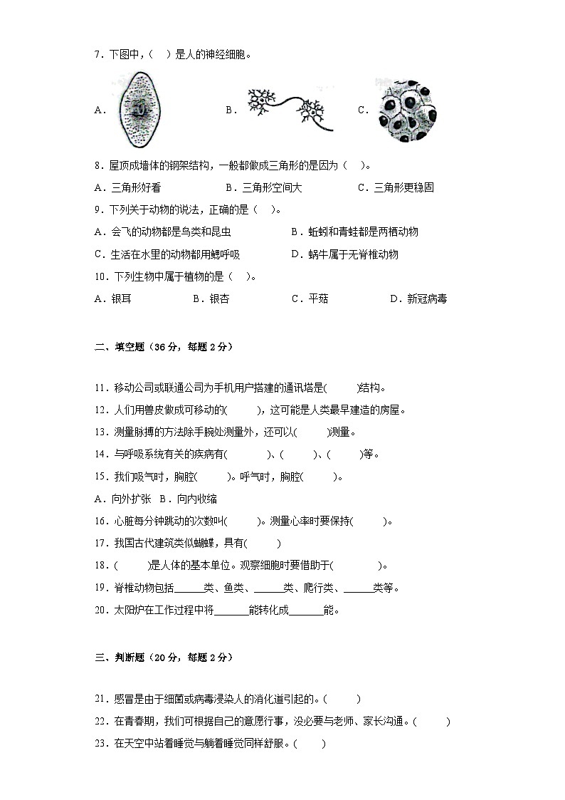 提高卷：2023年小升初科学模拟试卷二（冀人版）第2页