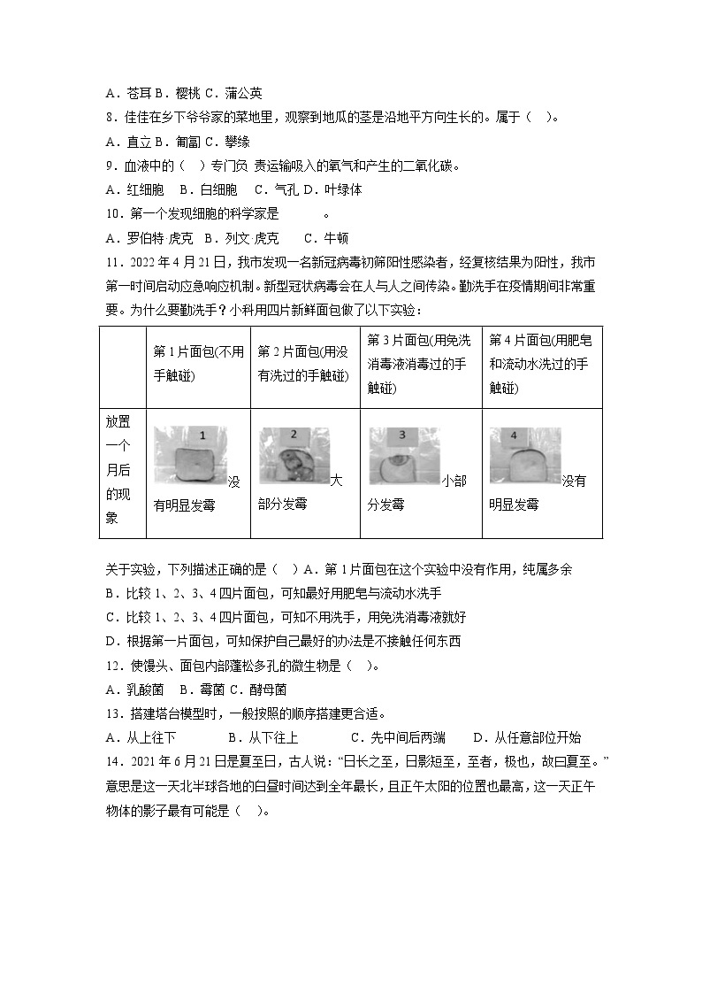 2023年小升初科学模拟试卷八（教科版）02