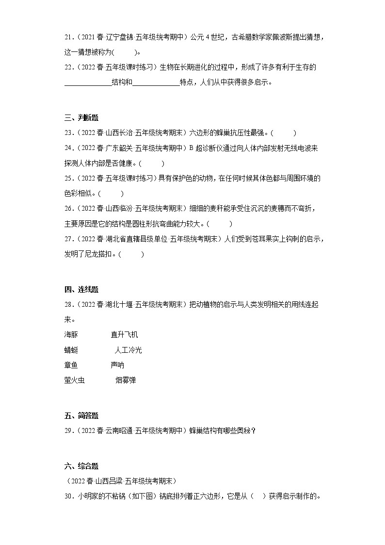 25生物的启示（真题练习）-小学科学五年级下册 苏教版（2017）第3页