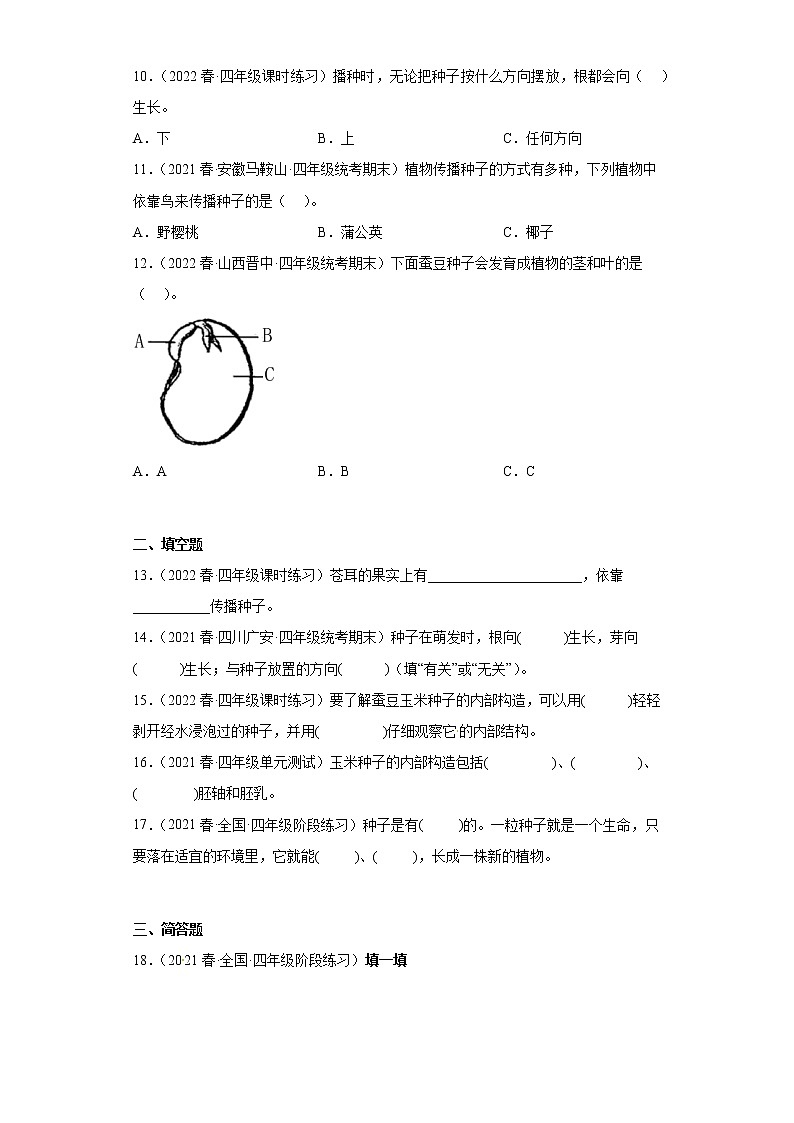412 用种子繁殖 真题练习 小学科学四年级下册 苏教版（2017）02