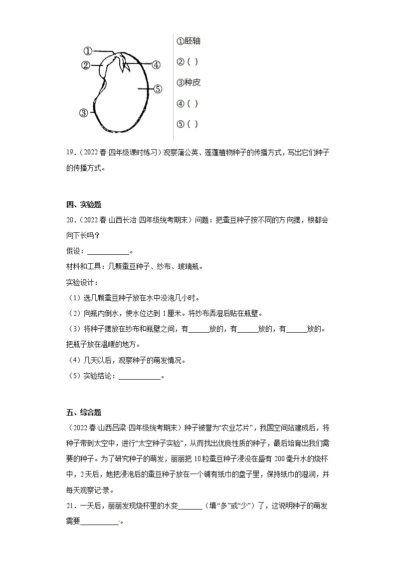 412 用种子繁殖 真题练习 小学科学四年级下册 苏教版（2017）03