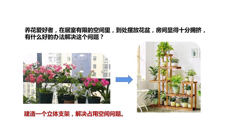 大象版六年级上册科学5.17《设计与建造“植物工厂”》课件03