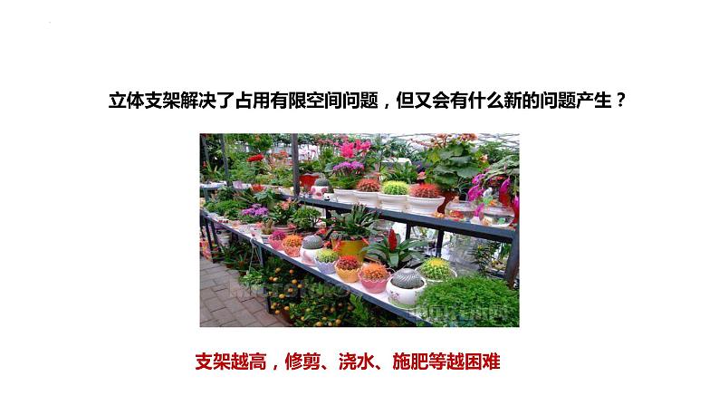 大象版六年级上册科学5.17《设计与建造“植物工厂”》课件04