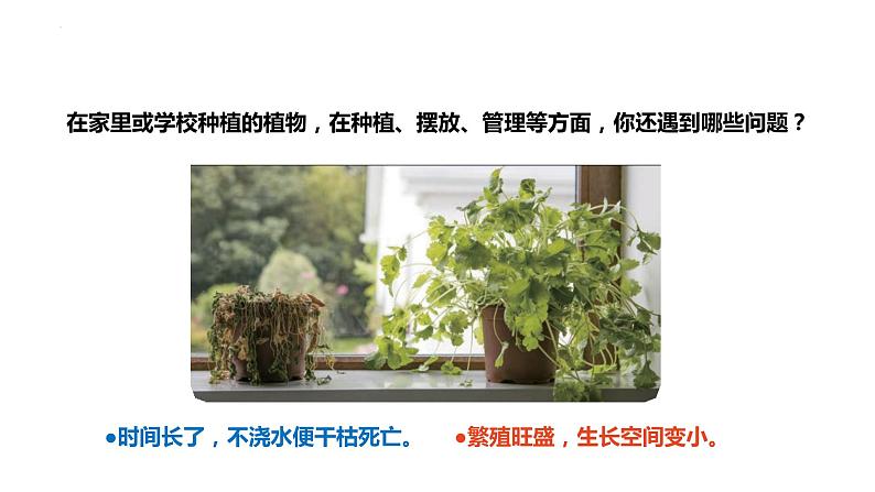 大象版六年级上册科学5.17《设计与建造“植物工厂”》课件05