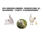 大象版六年级科学上册4.2《动物的遗传和变异》教学课件