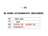 大象版六年级科学上册4.2《动物的遗传和变异》教学课件