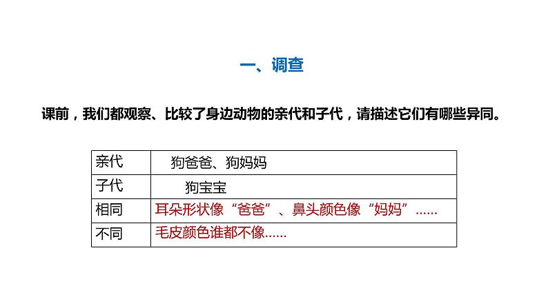 大象版六年级科学上册4.2《动物的遗传和变异》教学课件第5页