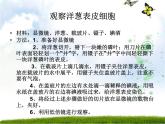 大象版六年级上册科学1.1《显微镜下的细胞》教学课件