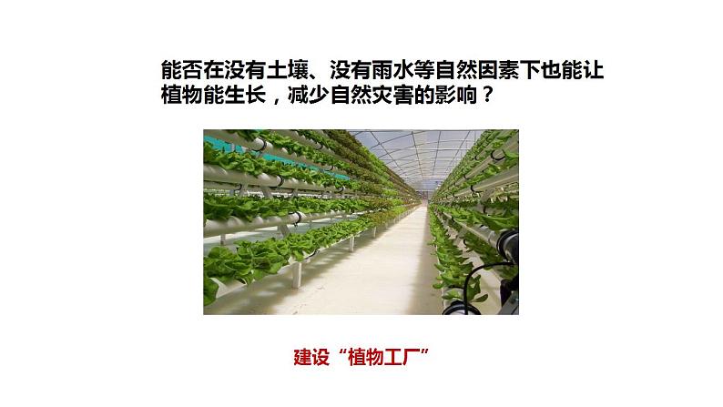 大象版六年级上册科学5.16《走进植物工厂》课件05