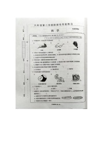 河南省周口市川汇区周口文化小学六年级下册科学期中测试