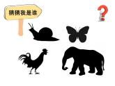 二年级下册科学教科版2.1《观察我们的身体》课件