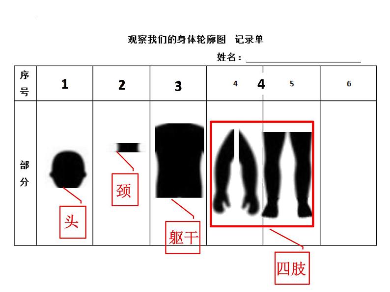 二年级下册科学教科版2.1《观察我们的身体》课件第5页