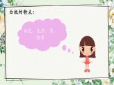 二年级教科版上册科学神奇的纸教学课件