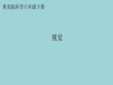 新青岛版六三学制六年级科学下册 1 视觉（课件）