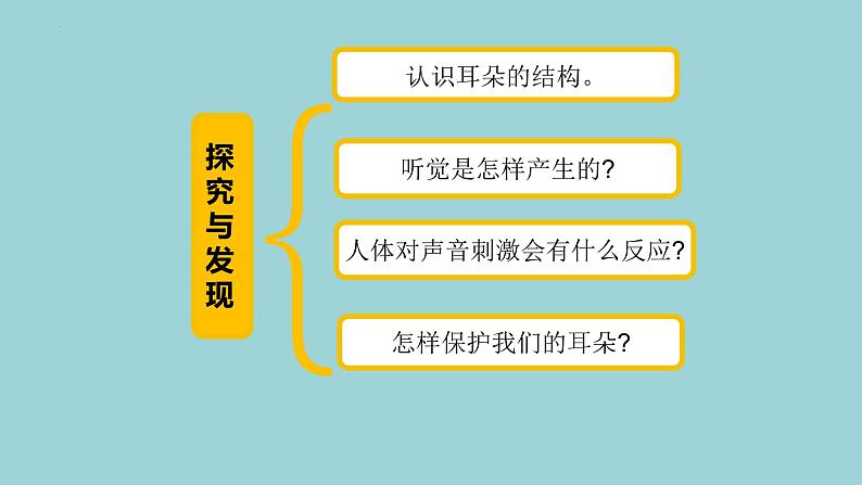 新青岛版六三学制六年级科学下册 3 听觉（课件）04