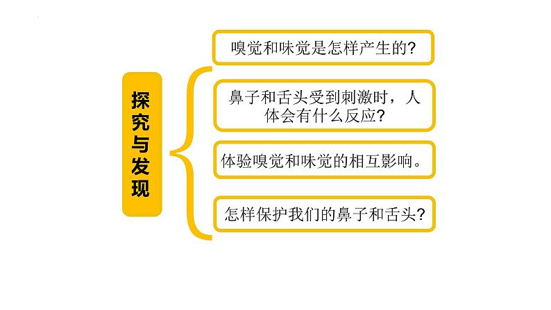 新青岛版六三学制六年级科学下册 4 嗅觉和味觉（课件）04