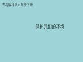 新青岛版六三学制六年级科学下册 8 保护我们的环境（课件）