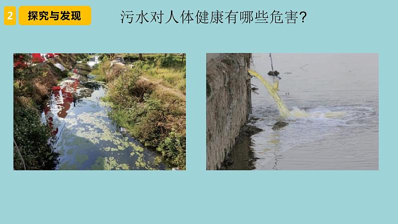 新青岛版六三学制六年级科学下册 8 保护我们的环境（课件）04