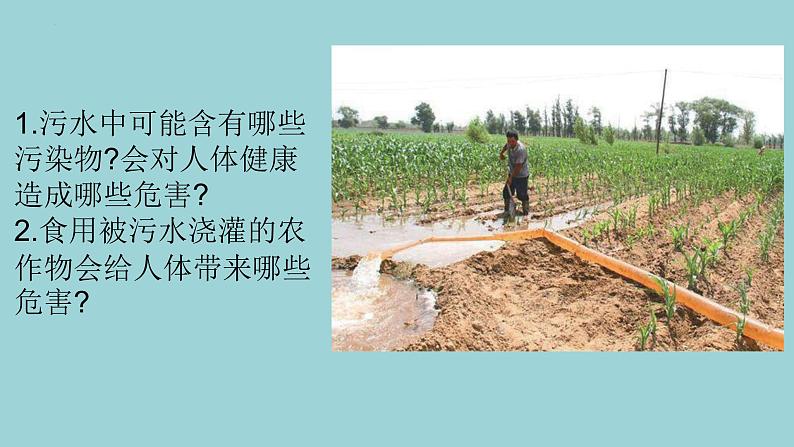 新青岛版六三学制六年级科学下册 8 保护我们的环境（课件）05