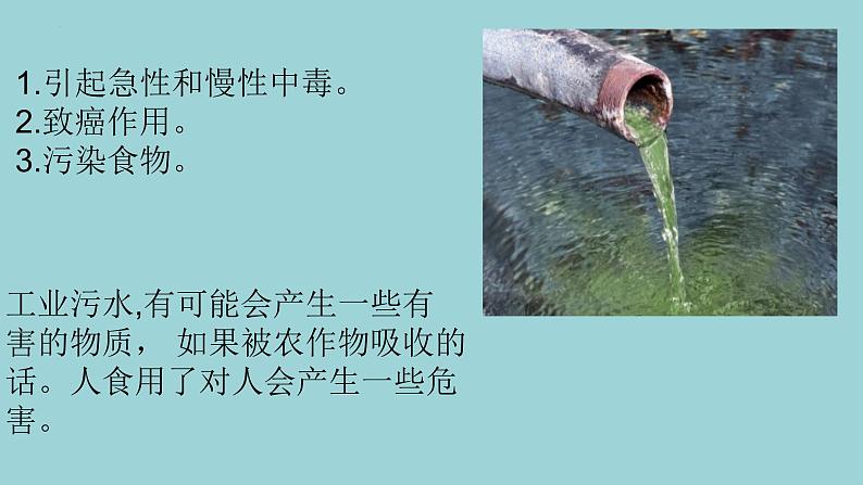 新青岛版六三学制六年级科学下册 8 保护我们的环境（课件）06