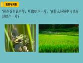 新青島版六三學制六年級科學下冊 7 動物行為與環(huán)境變化（課件）