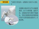 新青島版六三學制六年級科學下冊 7 動物行為與環(huán)境變化（課件）