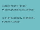 新青島版六三學制六年級科學下冊 7 動物行為與環(huán)境變化（課件）