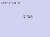 新青島版六三學(xué)制六年級科學(xué)下冊 11 海洋資源（課件+素材）