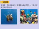 新青島版六三學(xué)制六年級科學(xué)下冊 11 海洋資源（課件+素材）