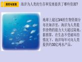 新青島版六三學(xué)制六年級科學(xué)下冊 11 海洋資源（課件+素材）