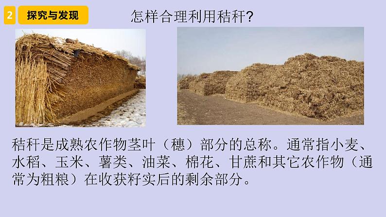 新青岛版六三学制六年级科学下册 12 自然资源回收与利用（课件+素材）04