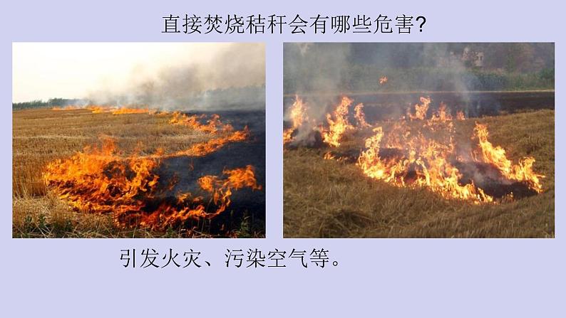 新青岛版六三学制六年级科学下册 12 自然资源回收与利用（课件+素材）05