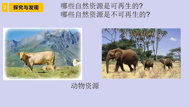 新青岛版六三学制六年级科学下册 12 自然资源回收与利用（课件+素材）08