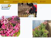 冀人版四年级下册科学1.3《保护土壤资源》（课件）