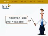 冀人版四年级下册科学7《植物的一生》教学课件